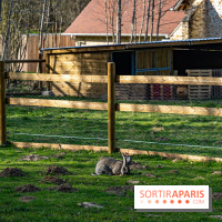 La Ferme de l’Abbaye des Vaux de Cernay : l'hôtel de charme en pleine nature dans les Yvelines - photos
