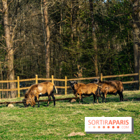 La Ferme de l’Abbaye des Vaux de Cernay : l'hôtel de charme en pleine nature dans les Yvelines - photos
