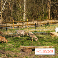 La Ferme de l’Abbaye des Vaux de Cernay : l'hôtel de charme en pleine nature dans les Yvelines - photos