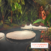 Mille et une vies : l'exposition gratuite et contemporaine se dévoile à l'Espace Monte-Cristo - fotor 1744999278089