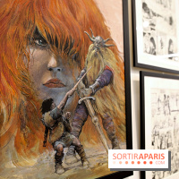 Rétrospective Grzegorz Rosinski, nos photos de l'expo gratuite à Paris - Expo Thorgal 12 fotor 2025042512352