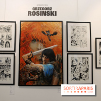 Rétrospective Grzegorz Rosinski, nos photos de l'expo gratuite à Paris - Expo Thorgal 16