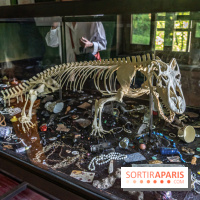 Le parcours d'art contemporain du Hangar Y se renouvelle  - A7C07322