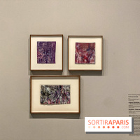 Dans le Flou, l'exposition dans le brouillard au Musée de l'Orangerie - IMG 5303