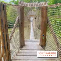 Mission Forêt - IMG 2142