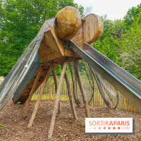 Mission Forêt - IMG 2145