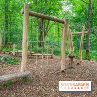 Mission Forêt - IMG 2149