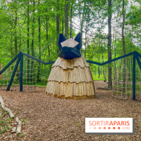 Mission Forêt - IMG 2152