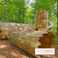 Mission Forêt