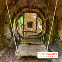 Mission Forêt - IMG 2154