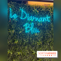 Brunch croisière à volonté sur la Seine – Le Diamant Bleu Paris