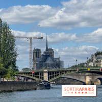 Brunch croisière à volonté sur la Seine – Le Diamant Bleu Paris