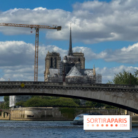 Brunch croisière à volonté sur la Seine – Le Diamant Bleu Paris