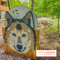 La Forêt des Loups - IMG 2086