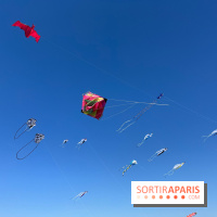 Festival de Cerfs-Volants à la Base 217 - IMG 2196