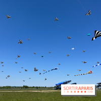 Festival de Cerfs-Volants à la Base 217 - IMG 2212