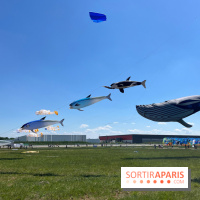 Festival de Cerfs-Volants à la Base 217 - IMG 2215