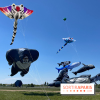 Festival de Cerfs-Volants à la Base 217 - IMG 2220