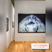 Jean Gaumy et la Mer : l'exposition maritime intimiste au Musée de la Marine