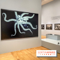 Jean Gaumy et la Mer : l'exposition maritime intimiste au Musée de la Marine - IMG 5473