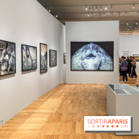 Jean Gaumy et la Mer : l'exposition maritime intimiste au Musée de la Marine