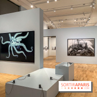 Jean Gaumy et la Mer : l'exposition maritime intimiste au Musée de la Marine - IMG 5478