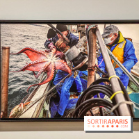 Jean Gaumy et la Mer : l'exposition maritime intimiste au Musée de la Marine - IMG 5482