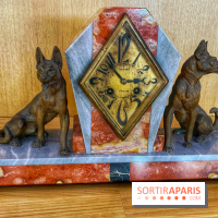 Collection dédié aux chiens