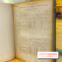 Collection dédié aux chiens - IMG 2328