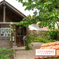 La maison du Docteur Gachet, les photos - A7C08581