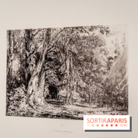 Exposition Van Gogh, les derniers voyages - photos - A7C08724