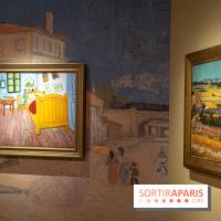 Exposition Van Gogh, les derniers voyages - photos - A7C08742