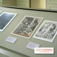 Exposition Van Gogh, les derniers voyages - photos - A7C08744