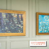 Exposition Van Gogh, les derniers voyages - photos