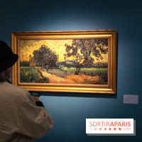 Exposition Van Gogh, les derniers voyages - photos - A7C08777