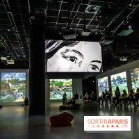 Exposition Van Gogh, les derniers voyages - photos - A7C08796