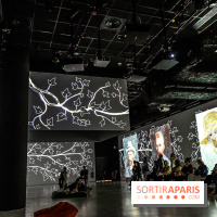 Exposition Van Gogh, les derniers voyages - photos - A7C08807