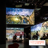 Exposition Van Gogh, les derniers voyages - photos - A7C08812