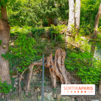 Encore plus d'Auvers-sur-Oise - IMG 2399