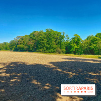 Encore plus d'Auvers-sur-Oise - IMG 2404