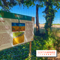 Encore plus d'Auvers-sur-Oise