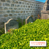 Encore plus d'Auvers-sur-Oise