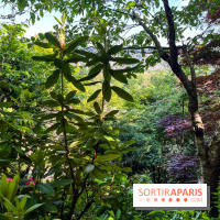 La pagode Trúc Lâm Thiền Viện - nos photos - image00008