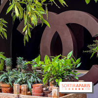 Jardins, Jardin 2025 : CHANEL dévoile son jardin parfumé & immersif au parc de la Villa Windsor - image00019