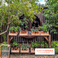 Jardins, Jardin 2025 : CHANEL dévoile son jardin parfumé & immersif au parc de la Villa Windsor - image00029