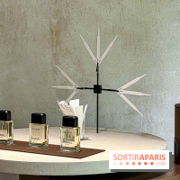 Jardins, Jardin 2025 : CHANEL dévoile son jardin parfumé & immersif au parc de la Villa Windsor - image00037