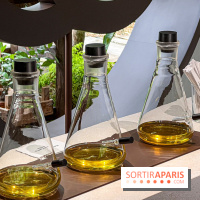 Jardins, Jardin 2025 : CHANEL dévoile son jardin parfumé & immersif au parc de la Villa Windsor - image00047