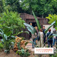 Jardins, Jardin 2025 : CHANEL dévoile son jardin parfumé & immersif au parc de la Villa Windsor - image00058