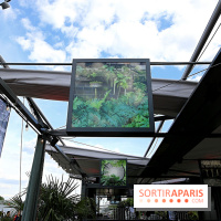 Quai de la Photo à Paris, nos photos de la terrasse d'été 2025  - Quai photo 8 fotor 2025052117316