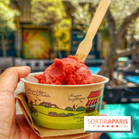 Ground Control - IMG 2471